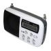 Портативная акустика с FM WS 822 1-динамик LCD-Micro SD/USB/FM, белый#16153