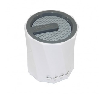 Портативная акустика - WS-Y89B Bluetooth/USB/TF/FM, белая#59872
