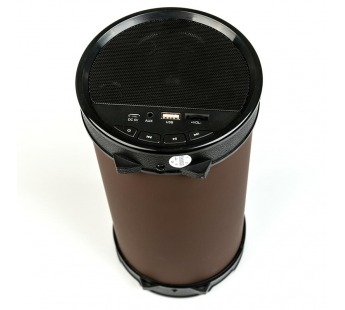 Портативная акустика Dialog Progressive AP-1000 BLACK -колонка-труба, 16W RMS, Bluetooth, FM+USB reader#145799