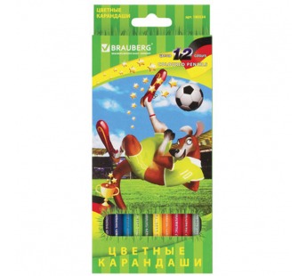 Карандаши цветные BRAUBERG "Football match", 12 цветов, заточенные, картонная упаковка, 180534#202740