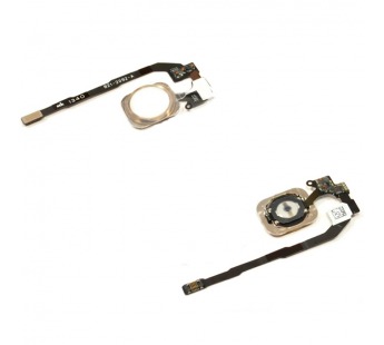 Кнопка (механизм) "Home" для iPhone 5S с толкателем и шлейфом + сканер отпечатка (золото)#337587