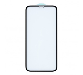 Защитное стекло 6D для iPhone X/XS/11 Pro (черный) (VIXION)#377018