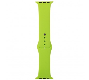 Ремешок - ApW03 для Apple Watch 38/40 mm Sport Band (L) (green)#416497