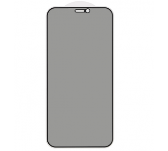 Защитное стекло 3D PRIVACY для iPhone 12 mini (черный) (VIXION)#449308