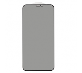 Защитное стекло 3D PRIVACY для iPhone X/XS/11 Pro (черный) (VIXION)#1706860
