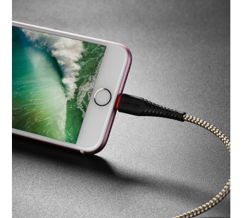 Кабель USB - Apple lightning Borofone BX25 Powerful 100см 2,4A  (black) (122740)#1629406