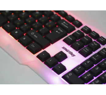 Клавиатура SmartBuy ONE 333, USB, белая-черная, проводная, подсветка (1/20)#1902912