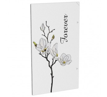 Смарт-пленка Hoco GB006 для задней части, с рисунком (20)#1718935