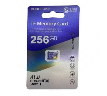 Карта памяти Borofone MicroSDHC 256Gb Class 10 #2093676
