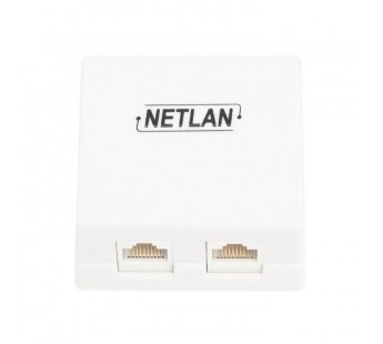 Розетка - RJ-45 5E_двойная_внешняя NETLAN EC-UWO-2-UD2-WT J203 [12.10], шт#2139308