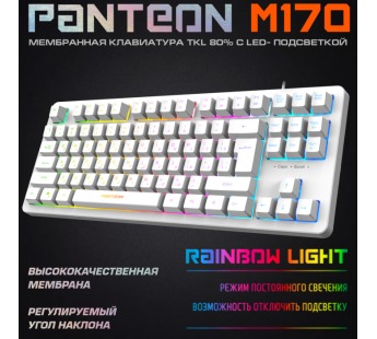 Игровая клавиатура USB Jet.A Panteon RAINBOW M170 c LED подсветкой, 87 клавиши, белая [23.11], шт#1956326