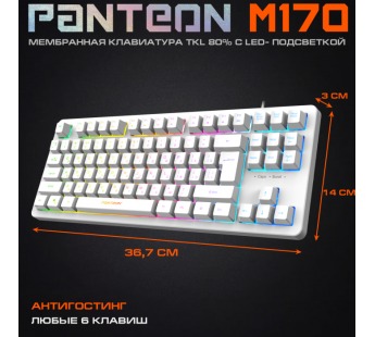 Игровая клавиатура USB Jet.A Panteon RAINBOW M170 c LED подсветкой, 87 клавиши, белая [23.11], шт#1956327
