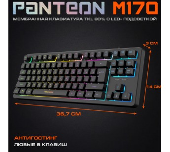 Игровая клавиатура USB Jet.A Panteon RAINBOW M170 c LED подсветкой, 87 клавиши, чёрная [23.11], шт#1956347