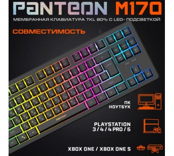 Игровая клавиатура USB Jet.A Panteon RAINBOW M170 c LED подсветкой, 87 клавиши, чёрная [23.11], шт#1956348
