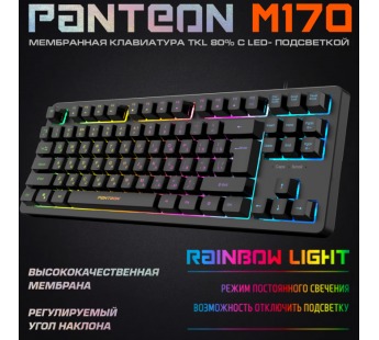 Игровая клавиатура USB Jet.A Panteon RAINBOW M170 c LED подсветкой, 87 клавиши, чёрная [23.11], шт#1956329