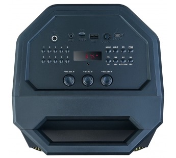 Колонка-Bluetooth Perfeo ПАС ”SPIN” 50W EQ, MP3 USB-microSD, AUX, FM, JACK, TWS черн + бп микрофон,#1952923