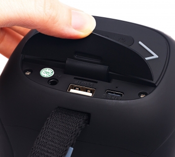 Колонка беспроводная  HOPESTAR PARTY 300 MINI 5W, (USB,FM,TF card)  цвет черный#2016009