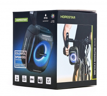 Колонка беспроводная  HOPESTAR PARTY 300 MINI 5W, (USB,FM,TF card)  цвет черный#2016011