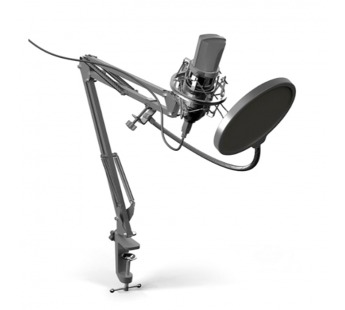 Микрофон RITMIX RDM-169, черный, настольный (1/8)#2107607