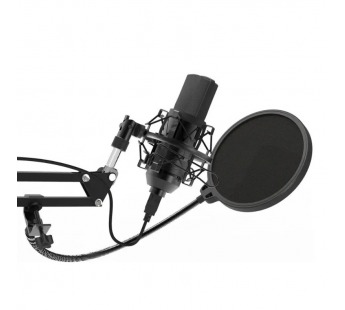 Микрофон RITMIX RDM-169, черный, настольный (1/8)#2121828