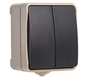 Выключатель SMARTBUY наружная установка 2-клавишный 10А, IP 54 "Сатурн" (SBE-04w-10-SW2-0) (1/18/216)#2123064