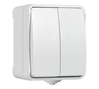 Выключатель SMARTBUY наружная установка 2-клавишный 10А, IP54, белый, "Сатурн" (18/216)#2123077