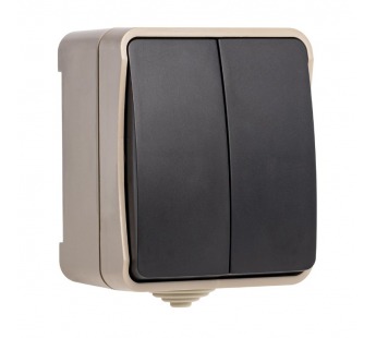 Выключатель 2-клавишный 10А, IP54, бежевый, "Сатурн" (SBE-04w-10-SW2-0)#2114281