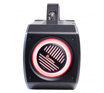Портативная колонка SmartBuy FLYER, супер басс, 60Вт, Bluetooth, MP3, мик.вх. RGB, черная (SBS-5820)#2120502