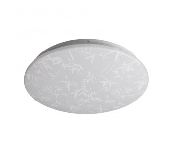 Светодиодный потолочный светильник (LED) Smartbuy 12 Вт 210*65мм TROPIC#2118759