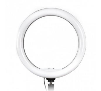 Кольцевая светодиодная лампа 26 см с держателем для телефона, для фото/видео съемки (SBL-TTL-10)/30#2112410