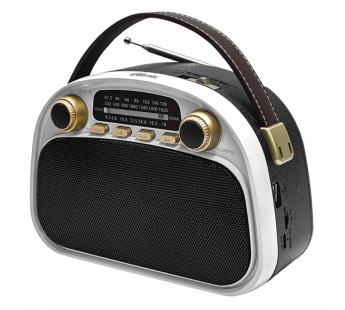 Радиоприемник трёхдиапазонный RITMIX RPR-040 WHITE, Bluetooth v.5.3, USB флэш/microSD, MP3, вход USB Type-C, ручка для переноски, белый(1/18)#2129433