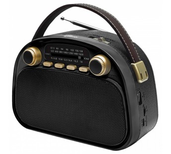 Радиоприемник трёхдиапазонный RITMIX RPR-040 BLACK, Bluetooth v.5.3, USB флэш/microSD, MP3, вход USB Type-C, ручка для переноски, черный(1/18)#2129432