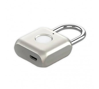 Smart замок GS 099 с отпечатком пальца (навесной) Серый#2131959