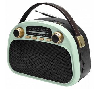 Радиоприемник трёхдиапазонный RITMIX RPR-040 MINT, Bluetooth v.5.3, USB флэш/microSD, MP3, вход USB Type-C, ручка для переноски, мятный(1/18)#2129430