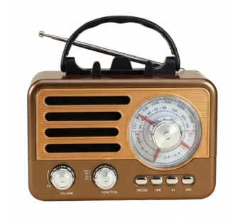 Радиоприемник DEESPI RE-01B AM/FM/SW/USB/AUX/Micro SD#2142645