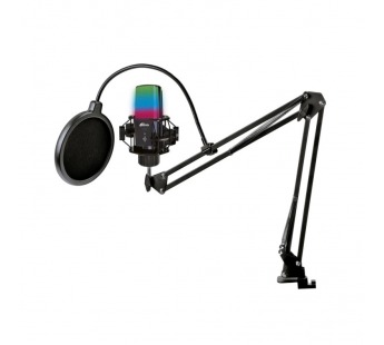 Микрофон на стойке RITMIX RDM-270 Black, конденсаторный, XLR- jack3,5 мм, RGB подсветка (1/10)#2140644