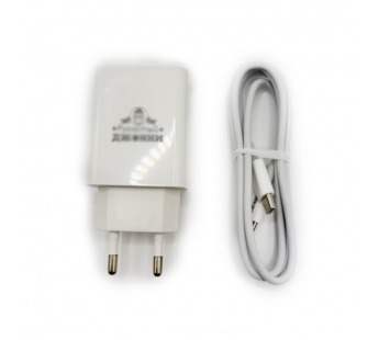 Сетевое зарядное устройство Rukasty Зу-3 PD20W+ кабель C to C#2146588
