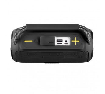 Колонка портативная DEFENDER Enjoy S450 10Вт, опции: RGB/BT/FM/USB/TF/AUX/TWS (1/20)#2146812