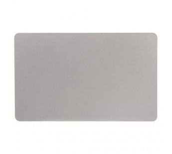 Трекпад MacBook Pro 14 Retina A2442 (Late 2021) (Space Gray)#2155313