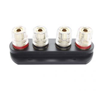 Разъемы аудио Rconnector Колодка акустическая 82/20мм на панель с4-я гнездами 4мм (Черный)#2174547
