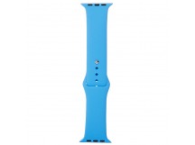 Ремешок - ApW03 для Apple Watch 38/40 mm Sport Band (L) (blue)