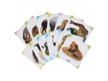 Карточки обучающие Животные Африки 0+, шт