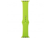 Ремешок - ApW03 для Apple Watch 38/40 mm Sport Band (L) (green)