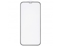 Защитное стекло 3D для iPhone 12 Pro Max (черный) (VIXION)