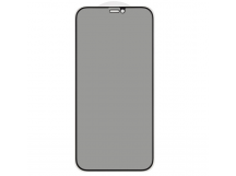Защитное стекло 3D PRIVACY для iPhone 12/12 Pro (черный) (VIXION)