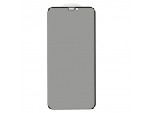 Защитное стекло 3D PRIVACY для iPhone X/XS/11 Pro (черный) (VIXION)