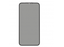 Защитное стекло 3D PRIVACY для iPhone XR/11 (черный) (VIXION)