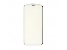 Защитное стекло Anti Blue для iPhone 12 Pro Max (черный) (VIXION)