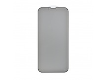 Защитное стекло 3D PRIVACY для iPhone 13 Pro Max/14 Plus (черный) (VIXION)