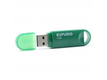                     64GB накопитель Exployd 570 зеленый 